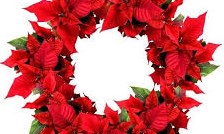 Đề thi học sinh giỏi lớp 5 môn Tiếng Việt - Đề số 2